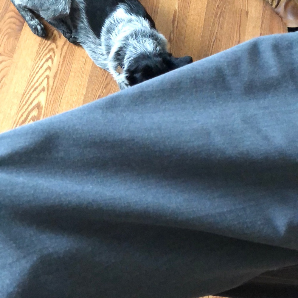 Grey slacks - Picture 5 of 5